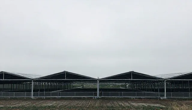数据准确性驱动流程优化的业务实践